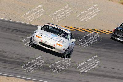 media/Oct-14-2023-Lucky Dog Racing (Sat) [[cef75db616]]/Turn 12 Exit-Bowl Backside (230pm)/